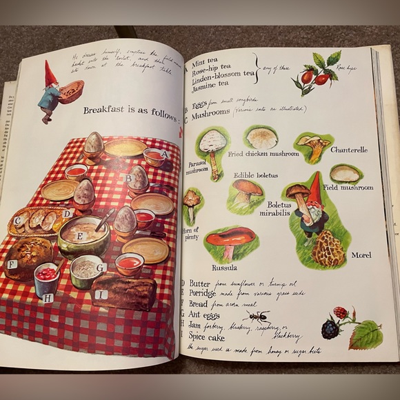 Gnomes 1976 Vintage Children’s Book Rien Huygen - Picture 10 of 15